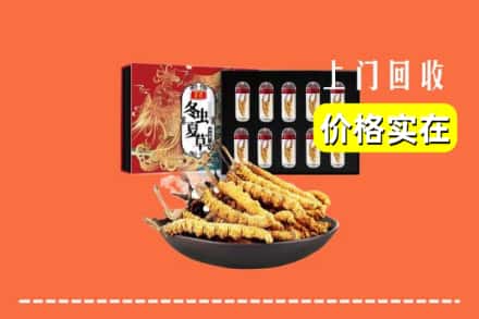 玉山县回收冬虫夏草