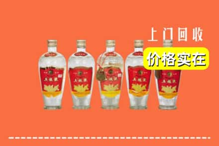 玉山县回收老五粮液